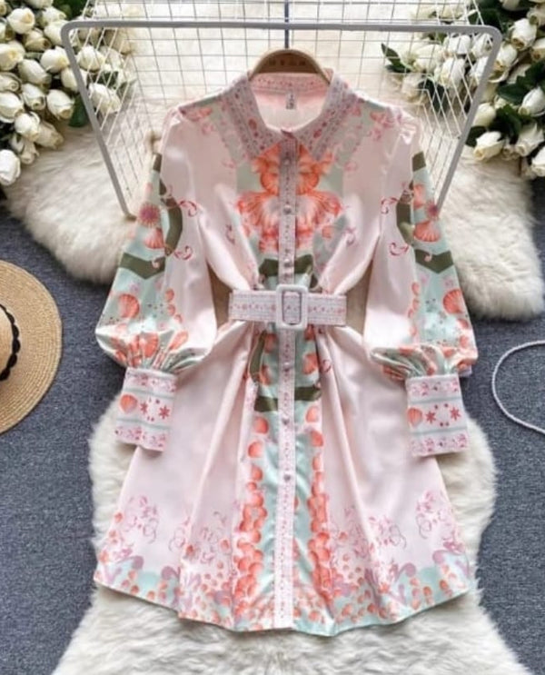Disty floral fit and flare shirt dress with belt